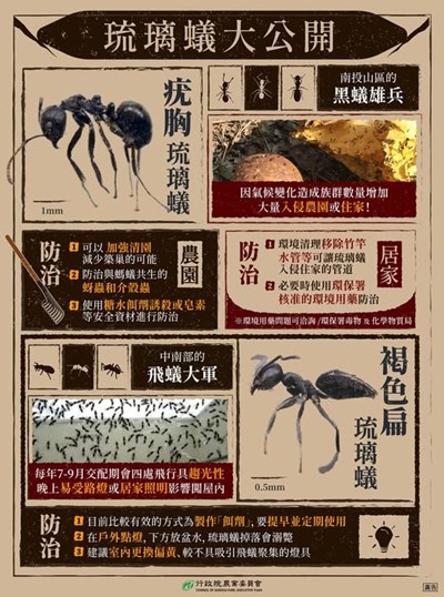 防治疣胸琉璃蟻